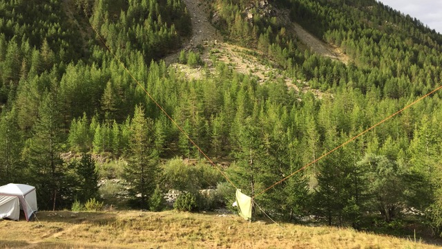 IMG 0368