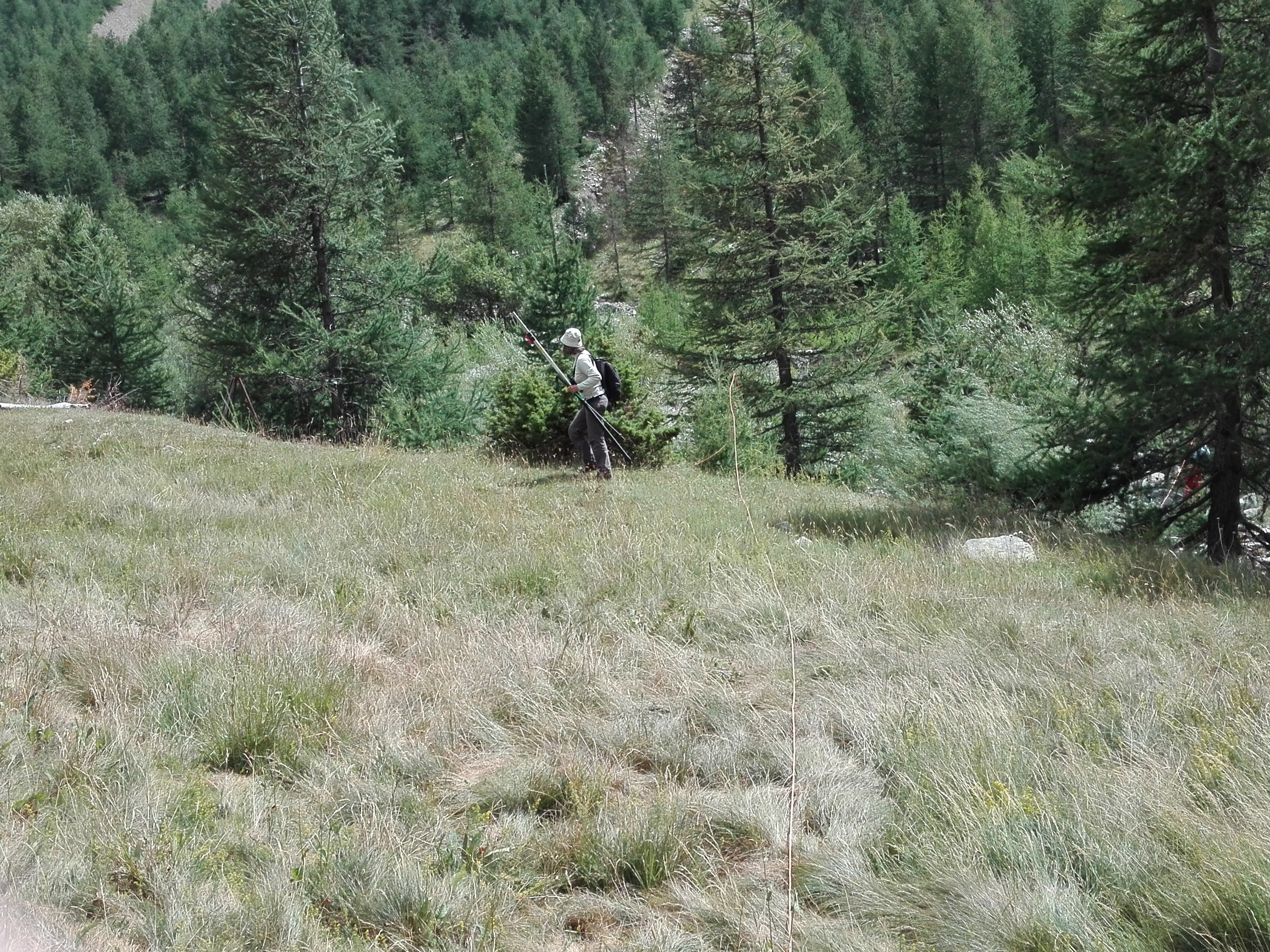 IMG 20170809 144632