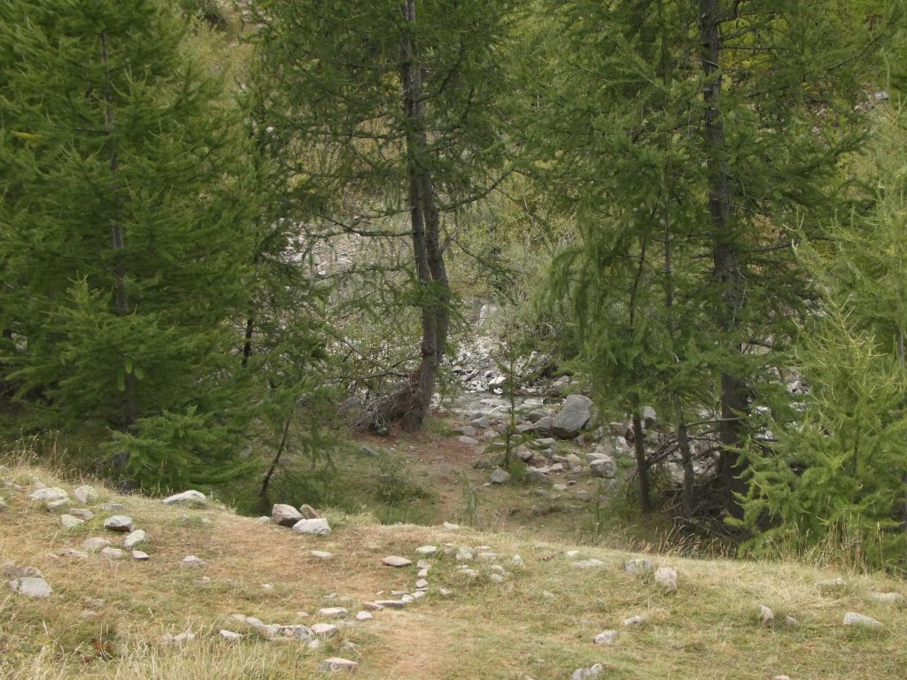 11 P1011168 1024x768